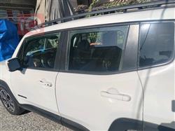 جيب رينيجيد